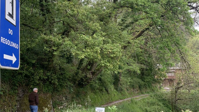 Meira - Capela Das Neves