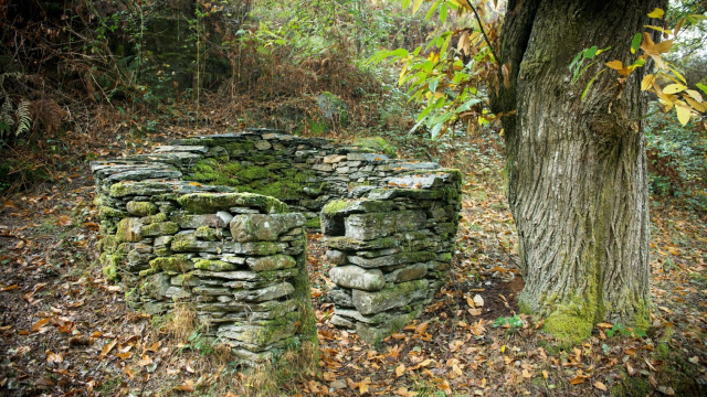 Corrizas de A Cortevella