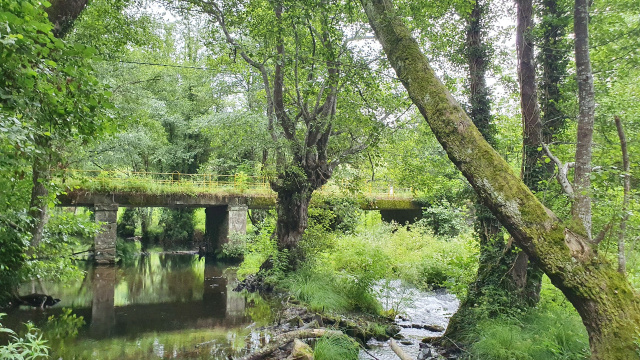 Paseo do río Neira, na contorna do Casino