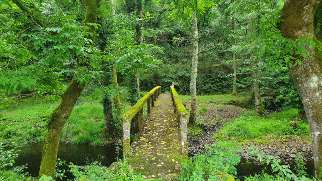 Ponte en piscifactoría de Os Mazos