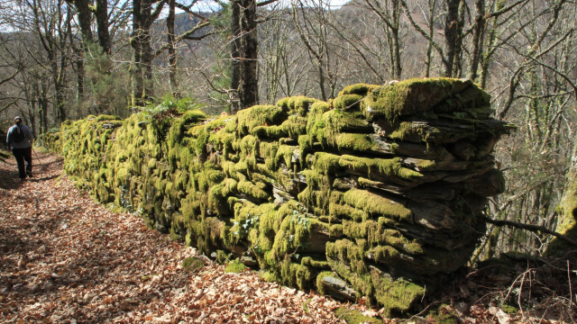 Carreiro do muiño da Allonquiña