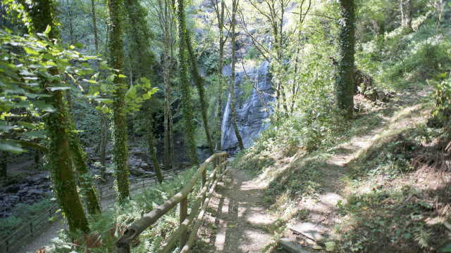 Seimeira de Vilagocende