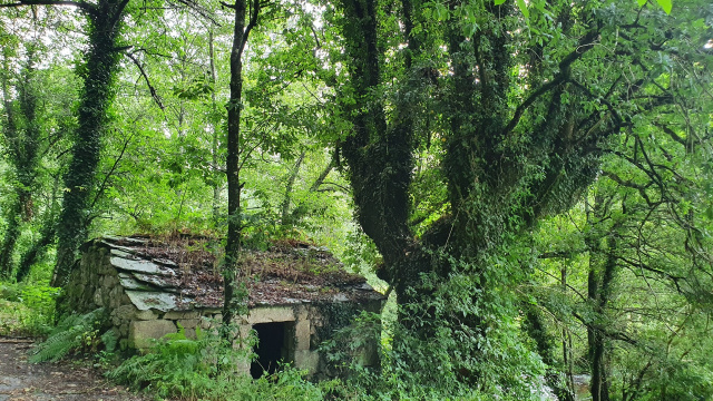 Muiño no Camiño Real