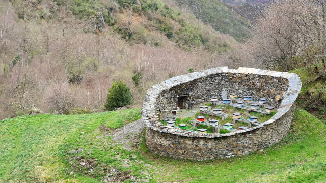 Cortín de Pandozarco