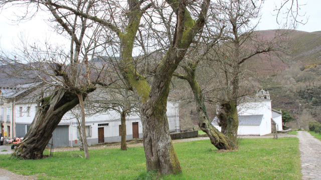 Igrexa e núcleo de Rao