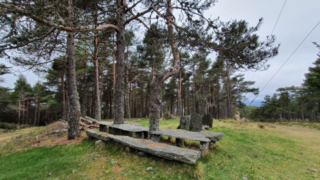 Torre forestal O Tesón