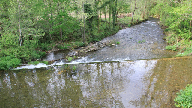 Pasarela sobre o rio Navia