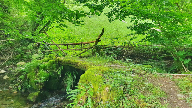 Pontigo en Ferrería da Grupa