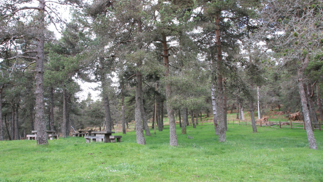 Área recreativa de Chao de Serra