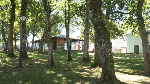 Carballeira de Mosteiro