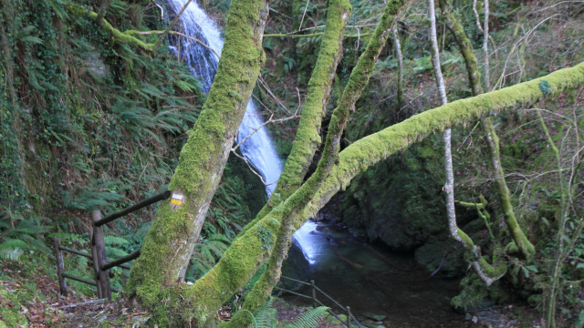 Seimeira Pena dos Portelos