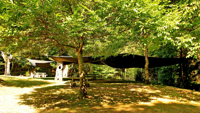 Rede de Micropaisaxes